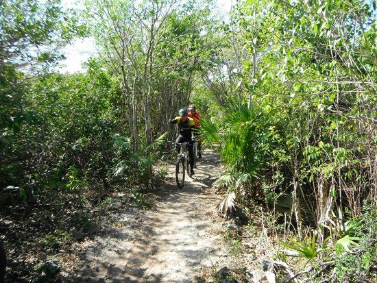 el Bike Park Punta Venado